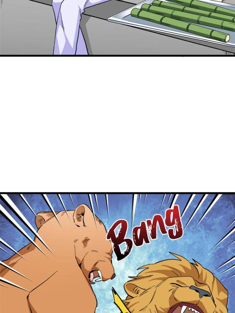 81492429 800 1067 78263